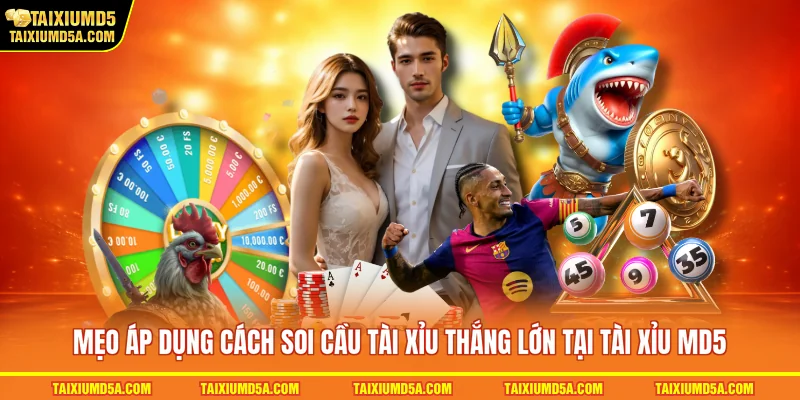 Mẹo áp dụng cách soi cầu tài xỉu thắng lớn tại tài xỉu MD5