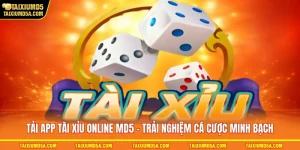 Tải App Tài Xỉu Online MD5 - Trải Nghiệm Cá Cược Minh Bạch